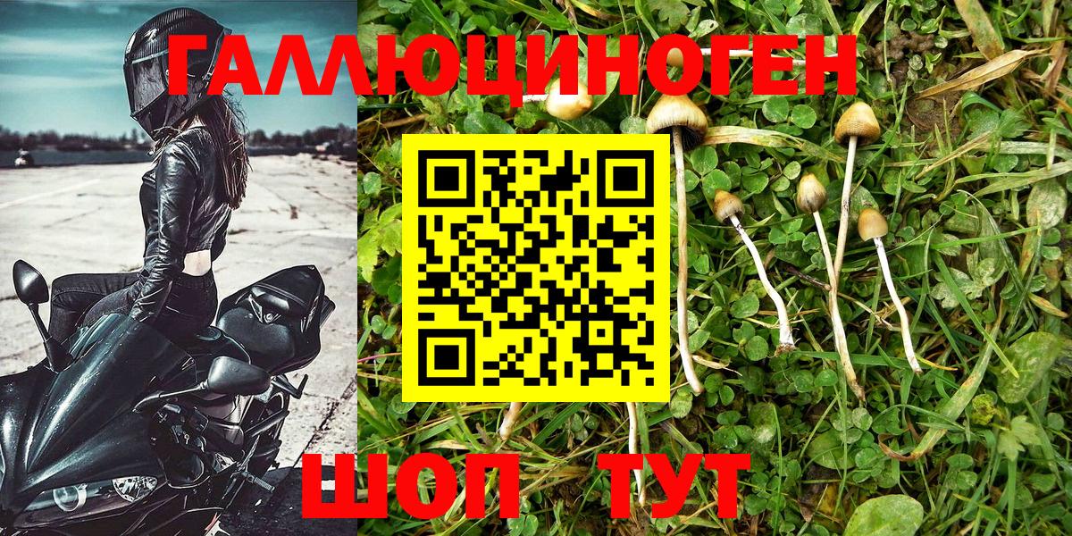 Псилоцибиновые грибы MAGIC MUSHROOMS  Галлюциногенные грибы прущие грибы  Вход с VPN  Мелеуз 